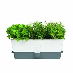 Cole & Mason - Self-Watering Triple Herb Keeper